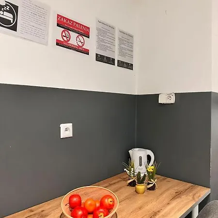 Sleep & Go Apartment Posen