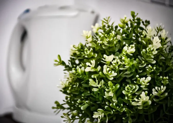 Comfortable * Познань